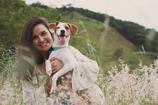 Amazing Aloe Vera Gel soothes dogs' hot spots