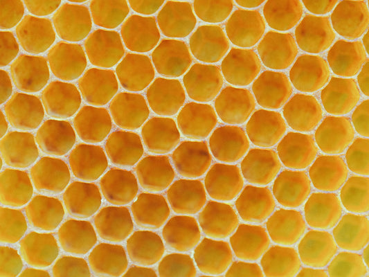 Unlocking the Secret to Glowing Skin: 5 Amazing Benefits of Manuka Honey