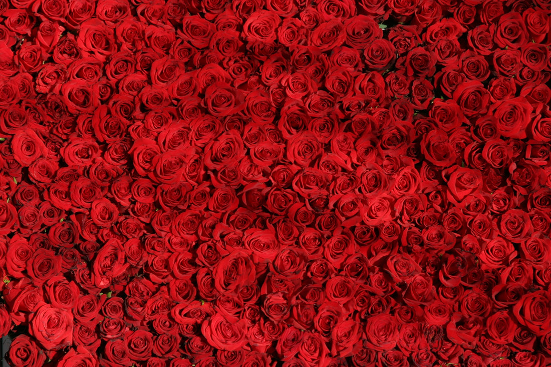 Refresh your skin all day long with organic rosewater