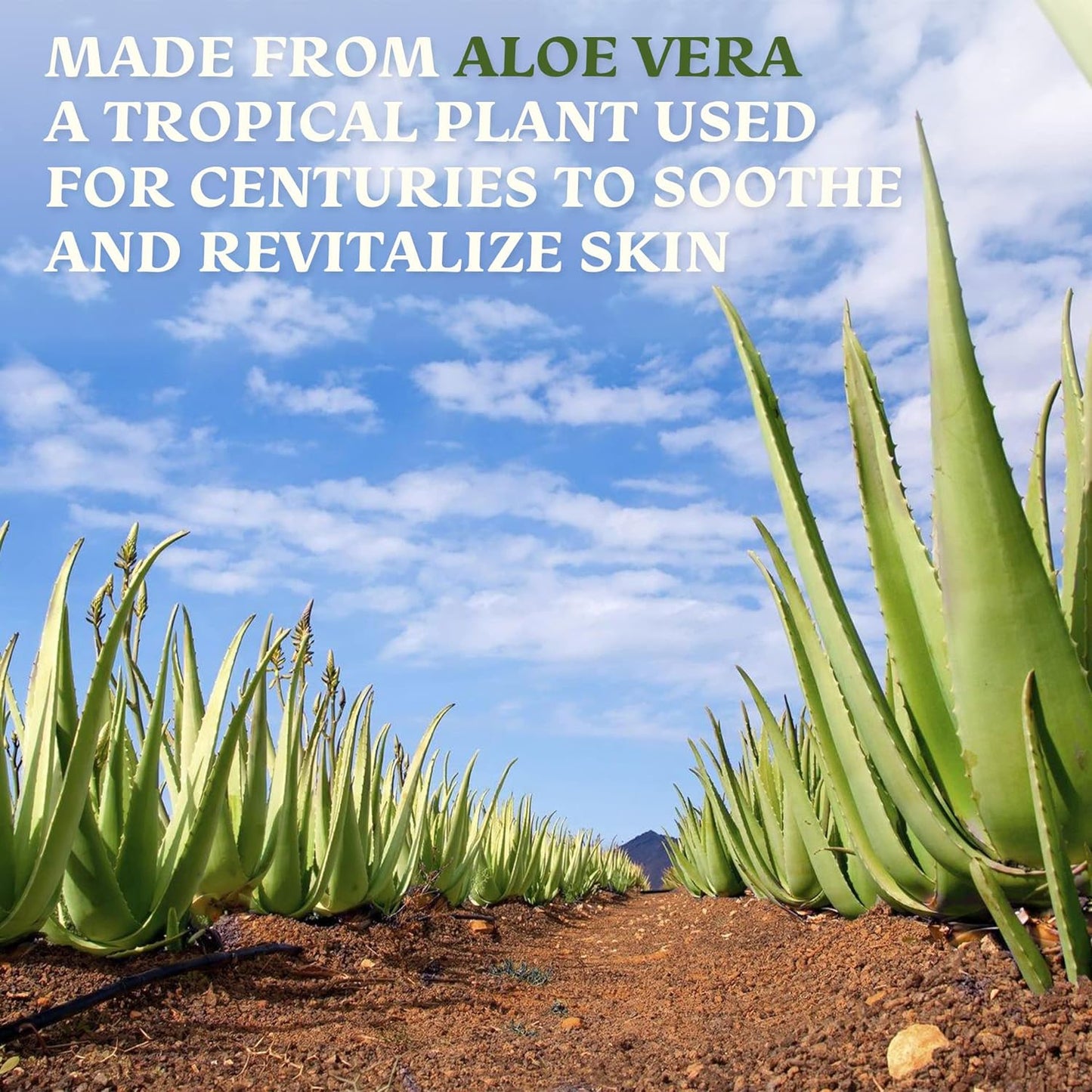 Aloe Vera Spray