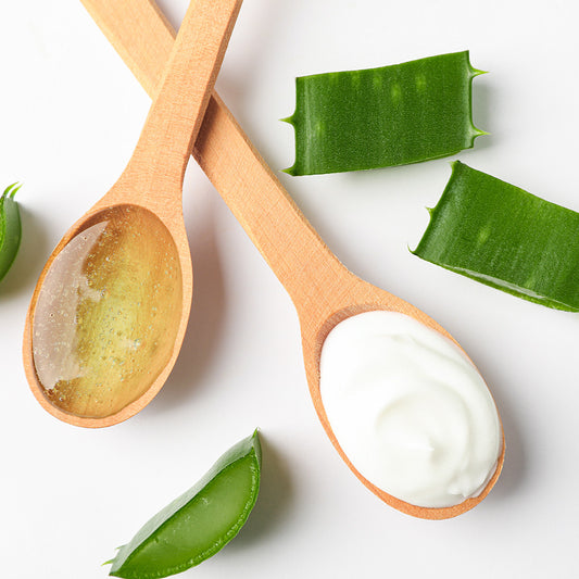 Unlock the Secrets of Aloe Vera: The Miracle Cure for All Your Skin Problems!